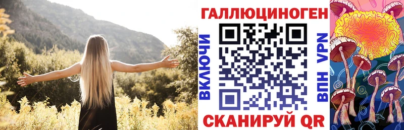 ссылка на мегу как зайти  Лихославль  Галлюциногенные грибы Cubensis 